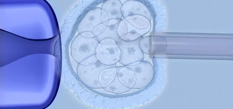 Προεμφυτευτικός Γενετικός Έλεγχος